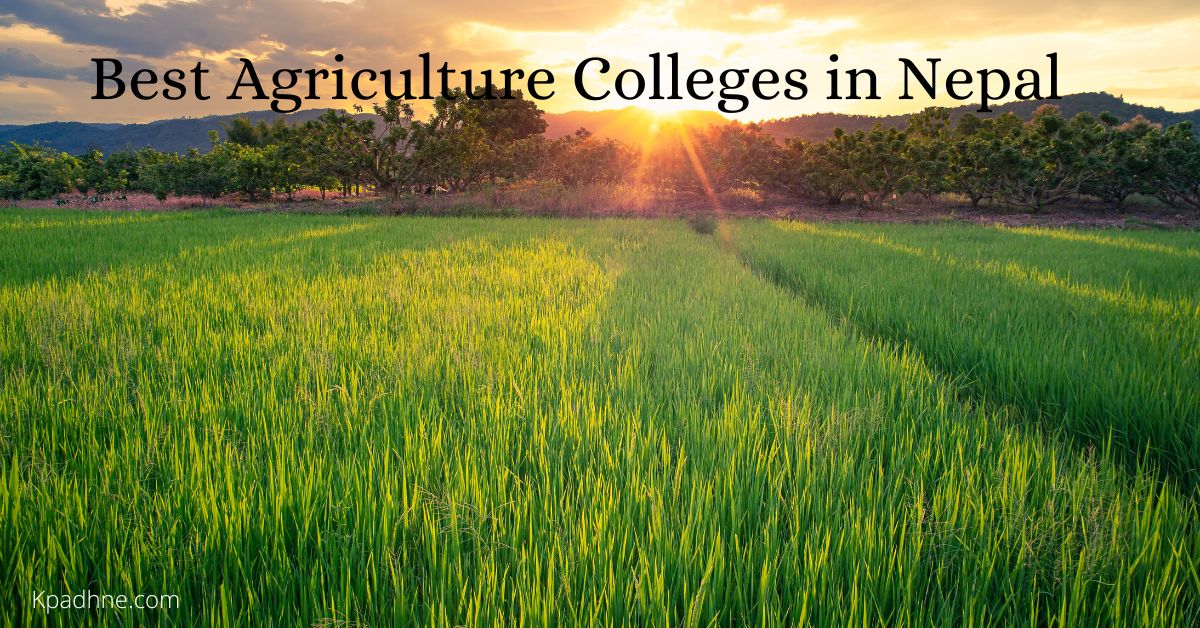 Best Agriculture Colleges in Nepal