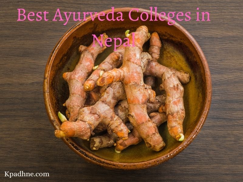 Best Ayurveda Colleges in Nepal (1)