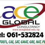 ACE Global Consultancy Pvt. Ltd.