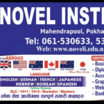 Novel Institute