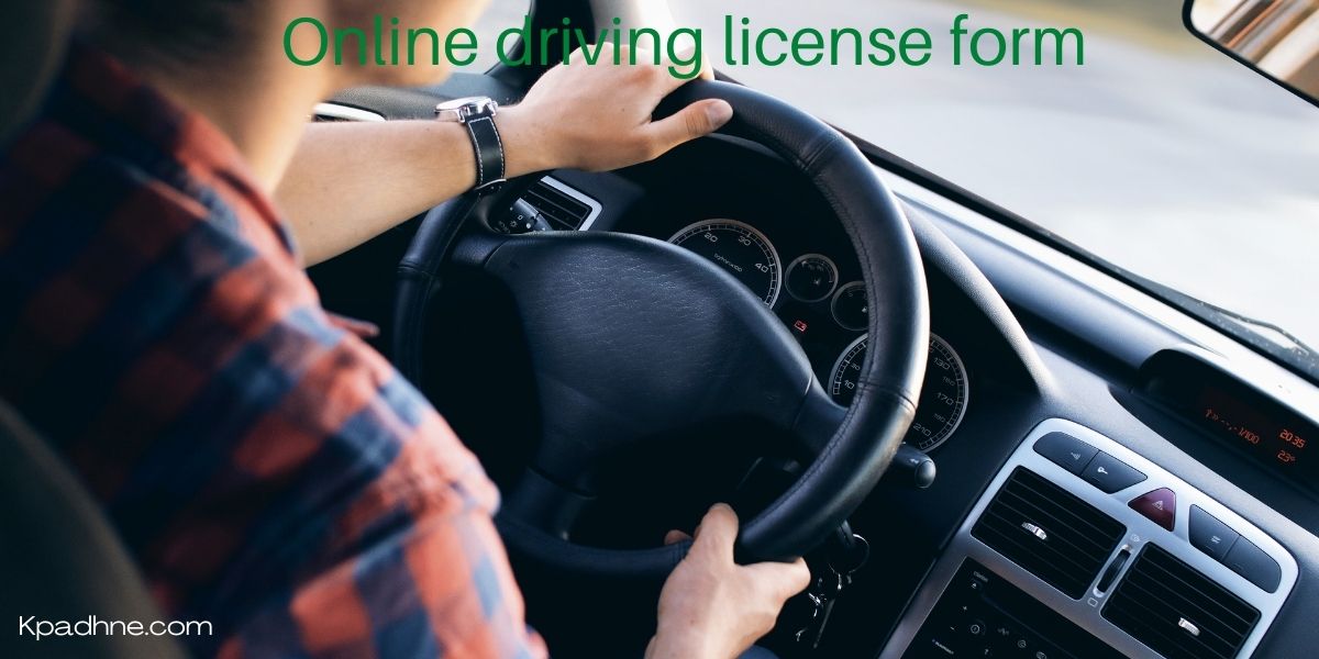 Online driving license