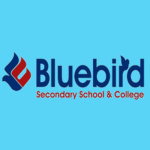 Bluebird SS/ College