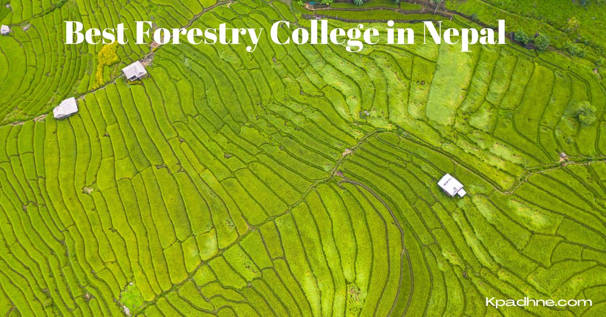 Best Forestry College in Nepal